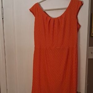 DressBarn Size 14 Orange Women's Dress